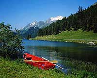 log furniture for homes, vacation cabins, ski chalets, hotels